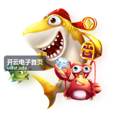 开云电子首页平台功能全解析